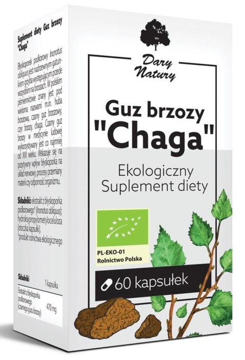 GUZ BRZOZY CHAGA BIO (470 mg) 60 KAPSUŁEK - DARY NATURY