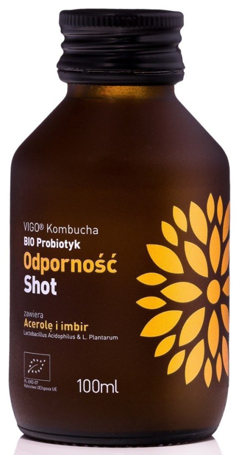 SHOT KOMBUCHA PROBIOTYK ODPORNOŚĆ BEZGLUTENOWY BIO 100 ml - VIGO