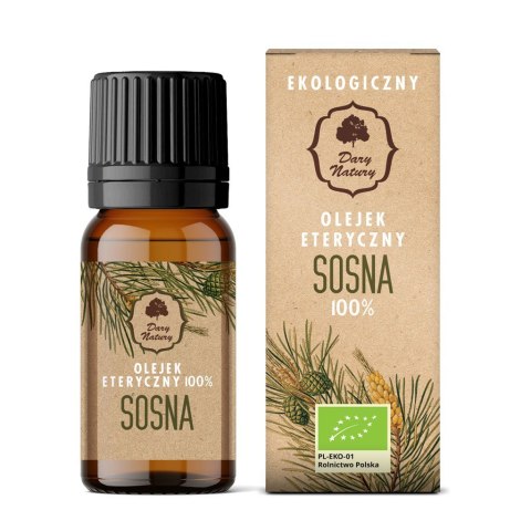 OLEJEK ETERYCZNY SOSNA BIO 10 ml - DARY NATURY OLEJEK ETERYCZNY SOSNA BIO 10 ml - DARY NATURY